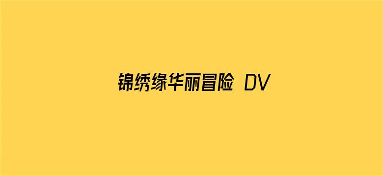 锦绣缘华丽冒险 DVD版